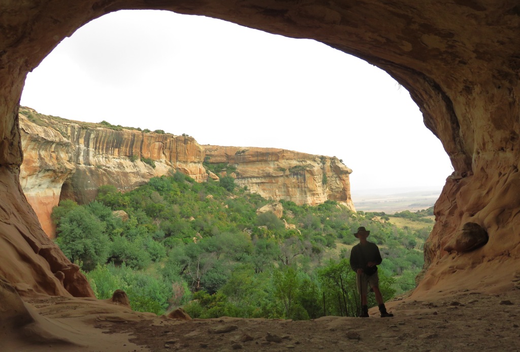 from inside the owl eye